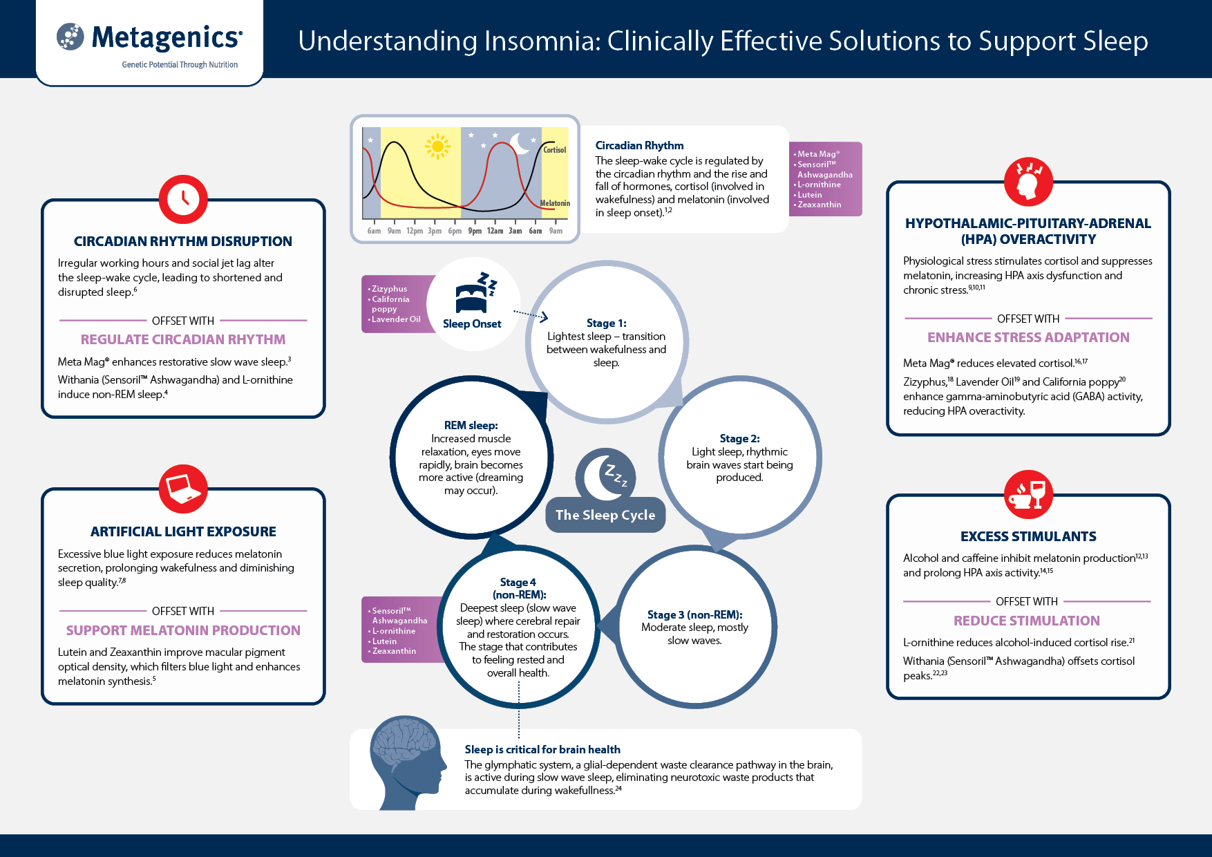 Understanding Insomnia Clinically Effective Solutions to Support